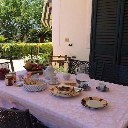 L'antico Limoneto Della Conca D'oro *