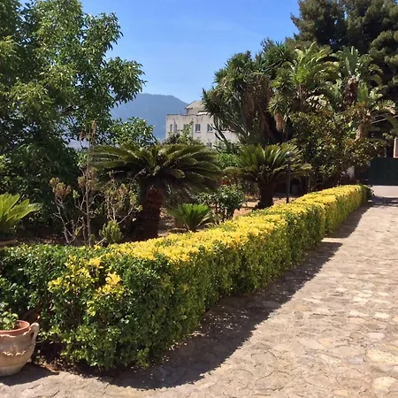 B&B L'antico Limoneto Della Conca D'oro 몬레알레
