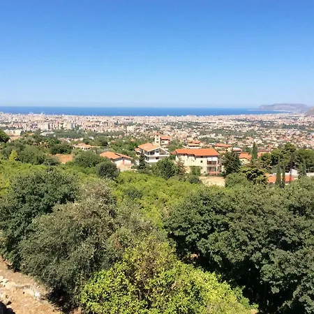 L'antico Limoneto Della Conca D'oro