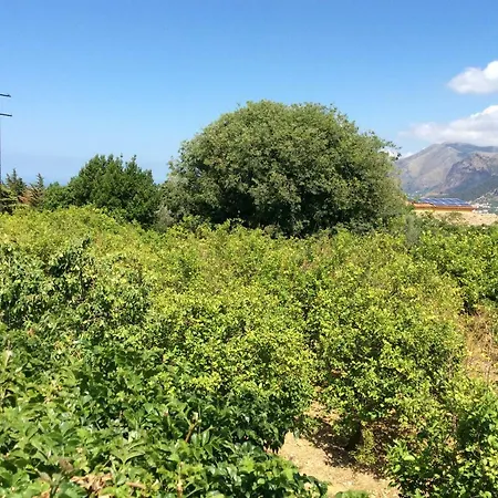 L'antico Limoneto Della Conca D'oro Bed & Breakfast